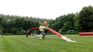 Tapas Agility(kattenloop) Hondenschool Speed Almere d.d. 07-06-2010