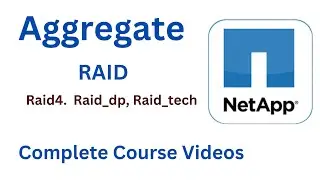 What is Aggregate II NetApp RAID Type II