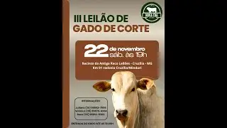 NOVA ERA LEILÕES