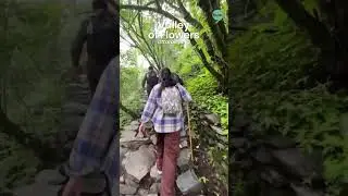 Top 10 Best Treks in India You Can&rsquo;t Miss 🏔️✨ | BackpackClan
