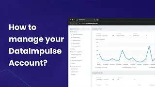 How to manage your DataImpulse account: a step-by-step tutorial