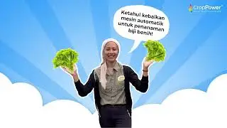 TEKNOLOGI BARU TANAM SALAD | Pelleted Seed Tingkat Produktiviti Petani!