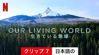 Our Living World: 生きている地球 (シーズン 1 クリップ 7) | 日本語の予告編 | Netflix