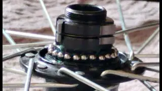 Hub re-assembly tips tools freehub cassette freewheel tightening torque force bike bicycle Shimano