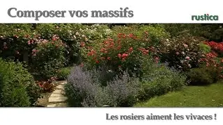Créer un massif de rosiers et de vivace