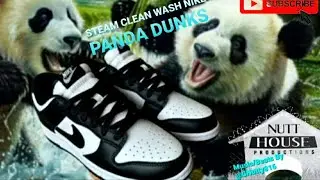 Remove 99% Bacteria In Minutes Shoes Steam Clean Wash Sanitize Disinfect Nike Dunk Panda Low