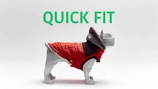 GF PET ELASTOFIT EN