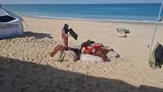  من غزة يسعد مساكم بكل خير، رجعت لكم بفيديو من ⛺مليان طاقة وأمل، ومع كل شمس جديدة يولد الأمل ☀️