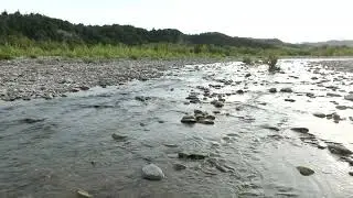 Discover the Serenity of a River Valley Oasis [4K Nature Escape]