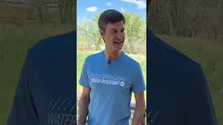What's The Difference Between 