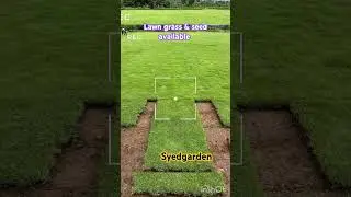 Lawn grass and seed available #gardening #bermuda #mexican #korean #grass #seeds