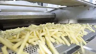 FRENCH FRIES PRODUCTION LINE