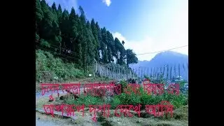 Lava , Lolegaon and Rishwap tour video |tour of KALIMPONG in himalaya