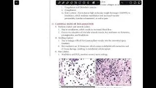 Read Along- Pathoma Chapter 2:  Inflammation, Inflammatory Disorders, and Wound Healing