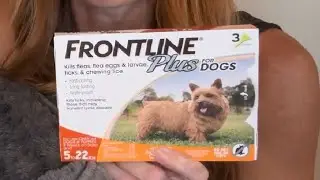 Frontline Plus Flea and Tick Treatment for Small Dogs Upto 5 to 22 lbs  3 Treatments Review
