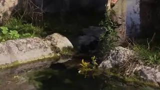 Histoire d'un ruisseau foyen: les sources (2)