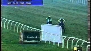 1995 Huddersfield Standard National Hunt Flat Race