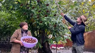 THE ULTIMATE RAINY VILLAGE FEAST! 🔥 Grandma Cooks 25KG Whole Lamb & Chestnut Pilaf 🌧️🌰