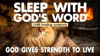 Gray Cat by the Fireplace as Psalms for protection bring comfort
