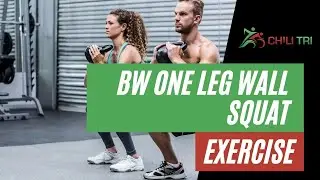 Single Leg Wall Squat (static hold) Exercise