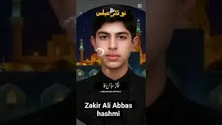zakir Ali Abbas hashmi taunsa sharif