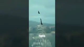 Are Dogfights Truly Over? ✈️🔥