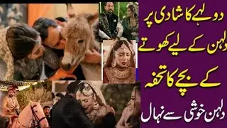 Azlan shah wedding ceremony||Azlan gave the bride a baby donkey#Azlan Shah Gift warisha#News Info