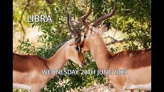 LIBRA | WEDNESDAY JUNE 28TH 2023 | DAILY TAROT READING