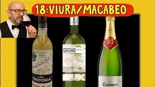(397) 18:Viura/Macabeo