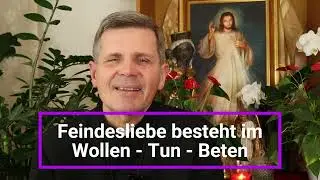 Das Allerschwerste: Feindesliebe