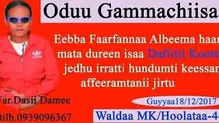 Dafii kottuu F//Daasi Damee Namootni Obb//tti  kana Gargaru barbadan Ayyaanni Kun itti yaa fufu ...