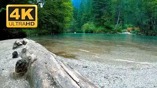 Slow Moving Relaxing River Sounds 💧 - 10 Hours 4K