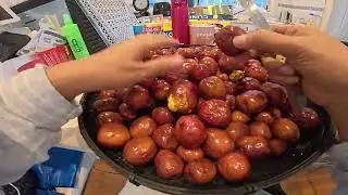 Learn to Make Additive-Free Red Dates（Jujuba) 教你自制无添加红枣，美味又养生！