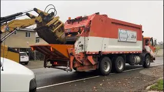 City of Roseville Leaf Collection: Tink Claw Collection (Part One)