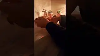 الهاتف:0628733469 📞قراءة جديدة 🔮البنت البيضاء الحنطية سمراء كارطة المغربية