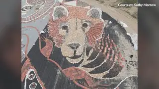 New Mexico artist completes rock project at NMSU golf course