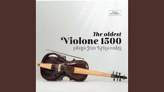 Sonata per due bassi