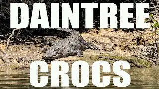 Episode 29 - Daintree Crocodiles
