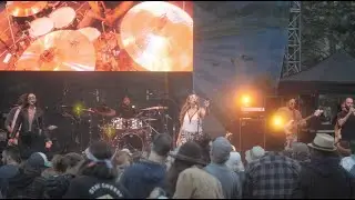 Better - Sal's Greenhouse (official video)