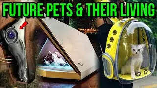 INSANE Pet Toys & Gadgets You Must Have 2021, Amazing Pet Toys & Gadgets That Are On Another Level