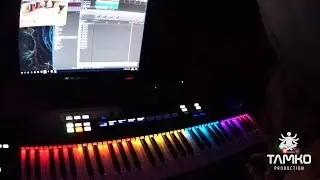 Komplete 11 and Maschine showcase by Tamko (live looping)