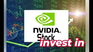 3 Ultra-Safe Dividend Stocks for Retirees and Working Class to Buy and Hold in September 13 2024