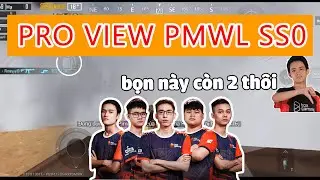 PRO VIEW PMWL 2020 - BOX PIMAY: 