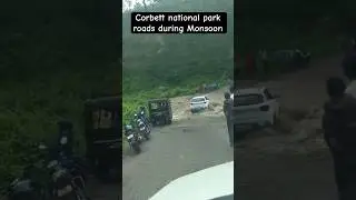 Jim Corbett national park during monsoon #shorts #corbettpark