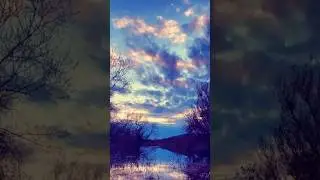 🌅 Morning Lake Colors | Relaxing Music 🎶💜💛 | Calm Short