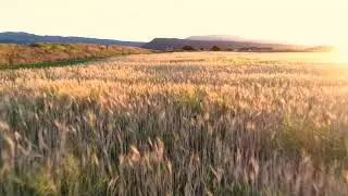 GOLDEN HOUR DRONE VIDEO (epic!!!!)