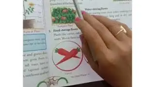 EVS CHAPTER 7 CLASS 4