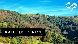 Ortenau Kalikutt Tour 🚲🔥 - MTB Schwarzwald
