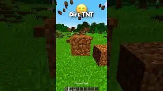Minecraft but more TNT 🤯🤯🤯 @comedyclub78681 @MineLandOfficial