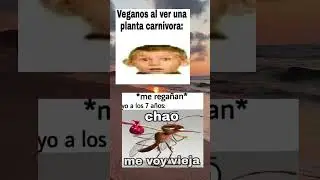 #memesenespa&ntilde;ol #memes #lol #comedia #risas #humorlatino #latam #graciosos #diversion